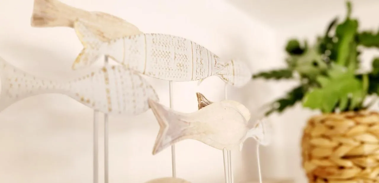 Precioso apartamento Reformado en 1a linea de mar sin vistas Calella De Palafrugell